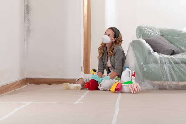 Reliable Mold Remediation contractor in Hyattsville, MD by 24 Hour Mold Removal